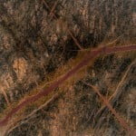 Marmo Green Forest Green & Brown Forest