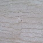 Perlatino di Sicilia