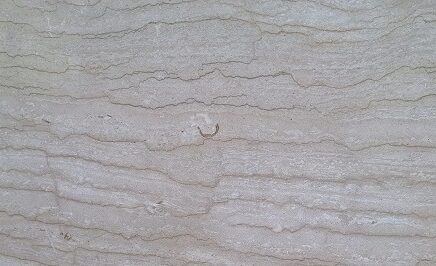 Perlatino di Sicilia