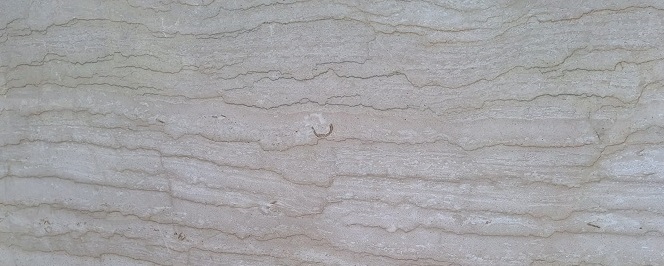 Perlatino di Sicilia